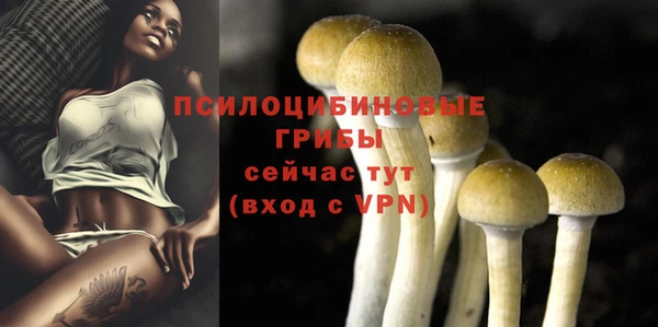 мет Фурманов